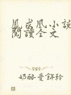 凤求凰小说免费阅读全文