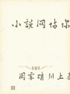 小说网站你懂的