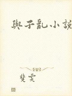 与子乱小说封面