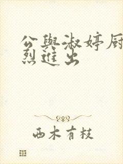 公与淑婷厨房猛烈进出