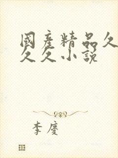 国产精品久久久久久小说