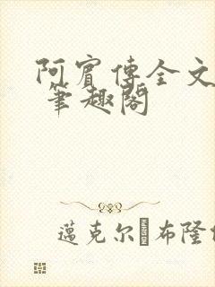 阿宾传全文阅读 笔趣阁