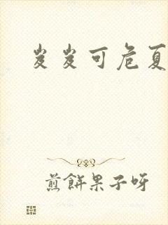 岌岌可危夏小正封面