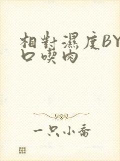 相对湿度BY大口吃肉