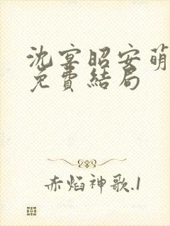 沈宴昭安萌全文免费结局封面