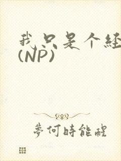 我只是个经纪人(NP)封面