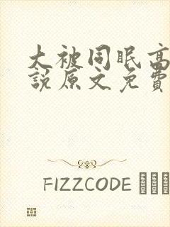 大被同眠高粱小说原文免费阅读