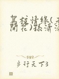 驾校情缘(老树开花)孙潇潇笔趣阁