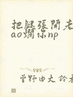 把腿张开老子cao烂你np