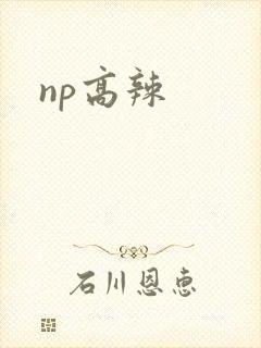 np高辣