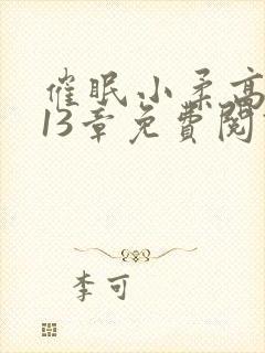 催眠小柔高达第13章免费阅读