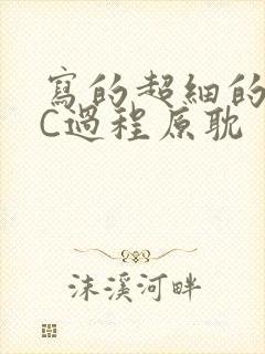 写的超细的多肉C过程原耽