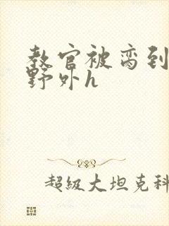 教官被脔到高潮野外h