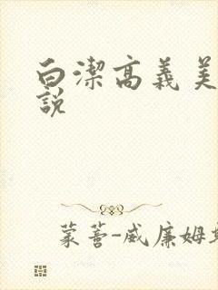 白洁高义美红小说