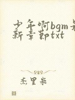 少年啊bgm最新章节txt
