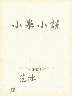 小米小说