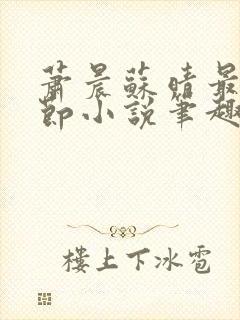 萧晨苏晴最新章节小说笔趣阁