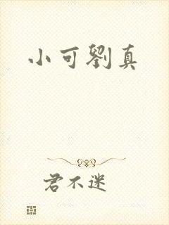 小可刘真封面