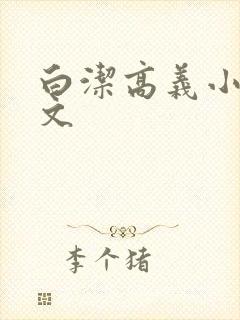 白洁高义小说全文