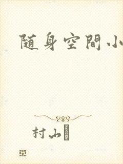 随身空间小说封面