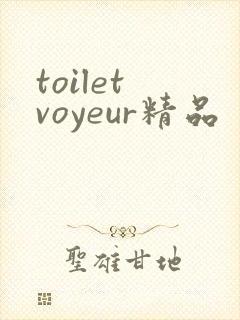 toilet voyeur精品封面