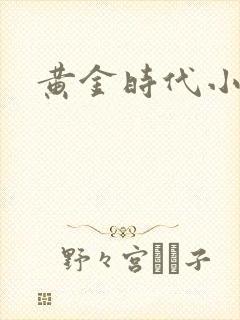 黄金时代小说
