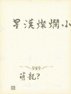 星汉灿烂小说