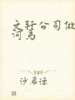 文轩公司做扩张河马