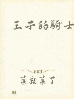 王子的骑士小说封面