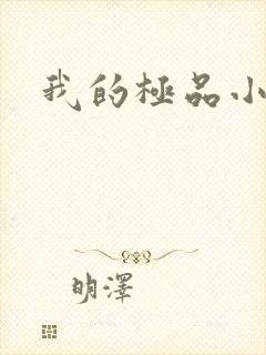 我的极品小姨