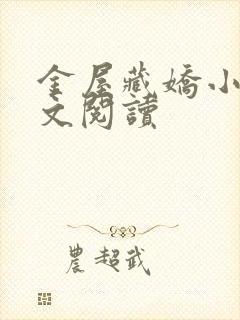 金屋藏娇小说全文阅读