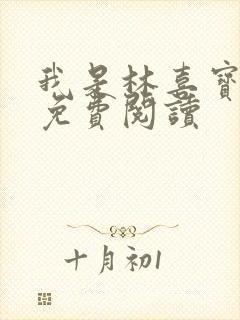 我是林喜宝小说免费阅读封面