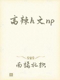 高辣h文np封面