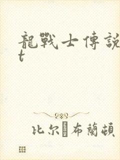 龙战士传说txt封面