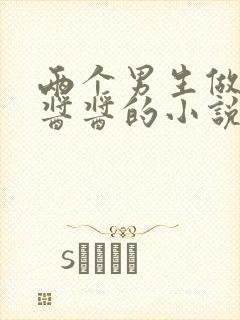 两个男生做酿酿酱酱的小说封面