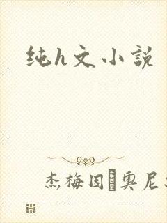纯h文小说