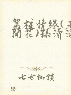 驾校情缘(老树开花)孙潇潇第一次趣笔阁封面