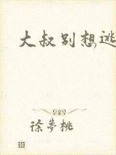 大叔别想逃