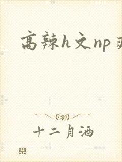 高辣h文np爽