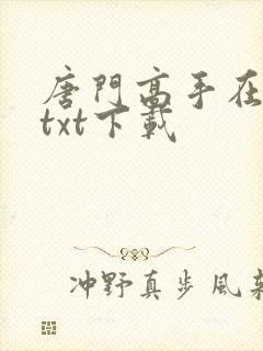 唐门高手在异世txt下载