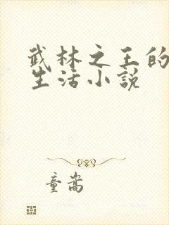 武林之王的退隐生活小说
