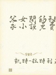 父女间的秘密赵永小说免费阅读封面
