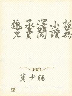 魏承泽小说全文免费阅读无弹窗笔趣