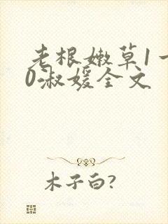 老根嫩草1一40淑媛全文封面