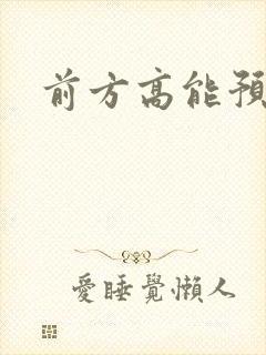 前方高能预警封面