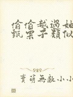 偷偷越过她by甄栗子类似小说