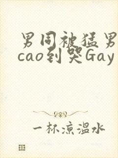 男同被猛男房东cao到哭Gay封面