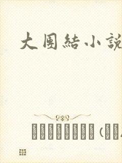 大团结小说阅读