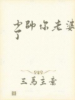 少帅你老婆又跑了