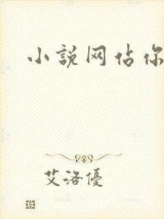 小说网站你懂的